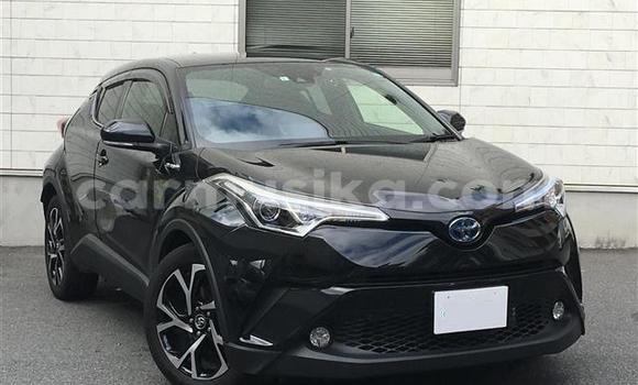 Buy Import Toyota C-HR Black Car in Beitbridge in Matabeleland South