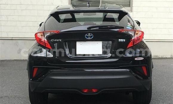 Acheter Import Voiture Toyota C-HR Noir à Beitbridge, Matabeleland South Acheter Import Voiture Toyota C-HR Noir à Beitbridge, Matabeleland South