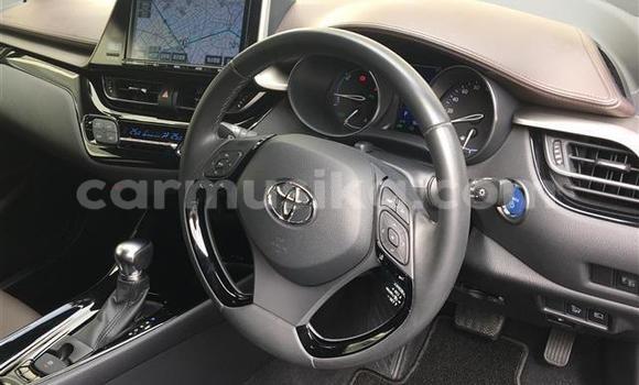 Acheter Import Voiture Toyota C-HR Noir à Beitbridge, Matabeleland South Acheter Import Voiture Toyota C-HR Noir à Beitbridge, Matabeleland South