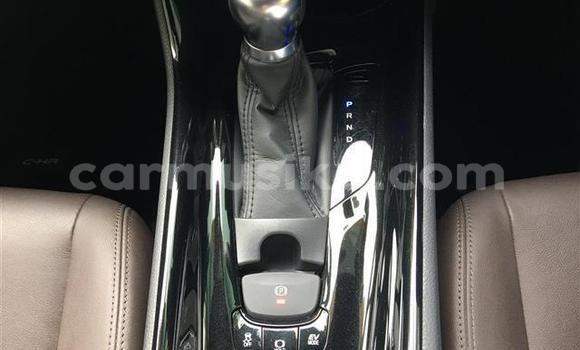 Acheter Import Voiture Toyota C-HR Noir à Beitbridge, Matabeleland South Acheter Import Voiture Toyota C-HR Noir à Beitbridge, Matabeleland South