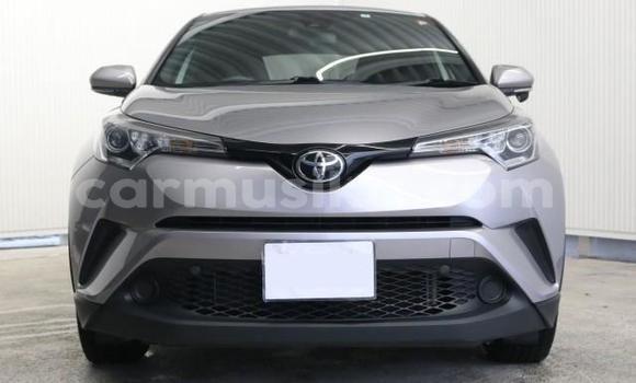Acheter Import Voiture Toyota C-HR Autre à Beitbridge, Matabeleland South Acheter Import Voiture Toyota C-HR Autre à Beitbridge, Matabeleland South