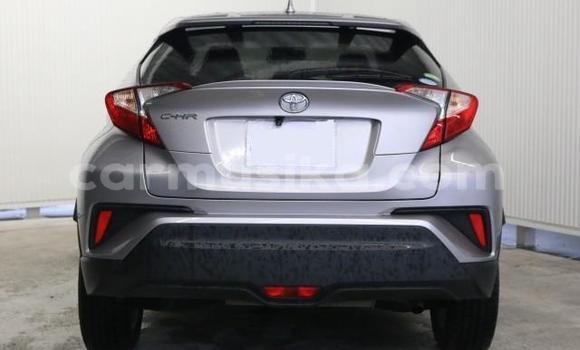 Acheter Import Voiture Toyota C-HR Autre à Beitbridge, Matabeleland South Acheter Import Voiture Toyota C-HR Autre à Beitbridge, Matabeleland South