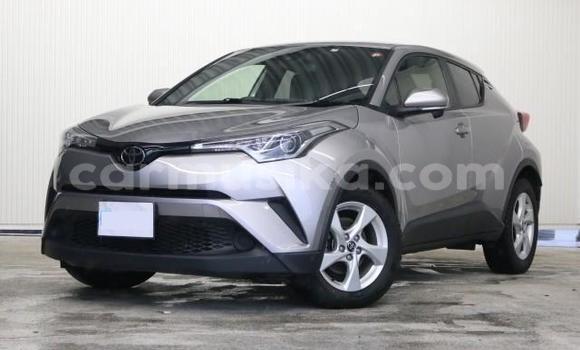 Acheter Import Voiture Toyota C-HR Autre à Beitbridge, Matabeleland South Acheter Import Voiture Toyota C-HR Autre à Beitbridge, Matabeleland South