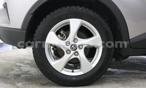 Acheter Import Voiture Toyota C-HR Autre à Beitbridge, Matabeleland South Acheter Import Voiture Toyota C-HR Autre à Beitbridge, Matabeleland South
