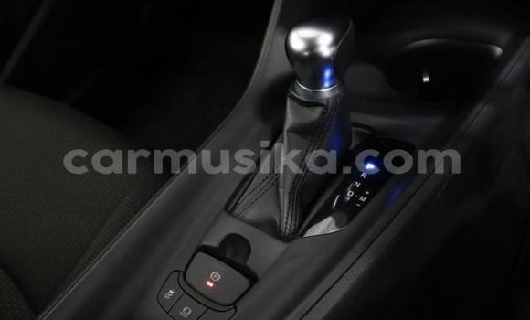 Acheter Import Voiture Toyota C-HR Autre à Beitbridge, Matabeleland South Acheter Import Voiture Toyota C-HR Autre à Beitbridge, Matabeleland South