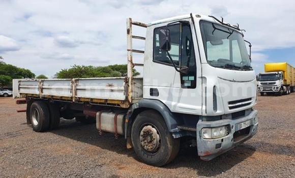 Nunua Ilio tumika Iveco Cargo Nyeupe Lori ndani ya Beitbridge nchini Matabeleland Kusini