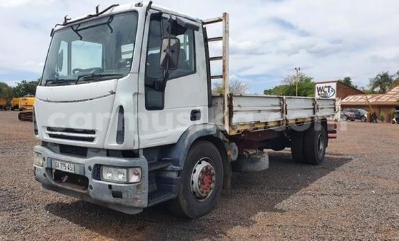 Nunua Ilio tumika Iveco Cargo Nyeupe Lori ndani ya Beitbridge nchini Matabeleland Kusini Nunua Ilio tumika Iveco Cargo Nyeupe Lori ndani ya Beitbridge nchini Matabeleland Kusini