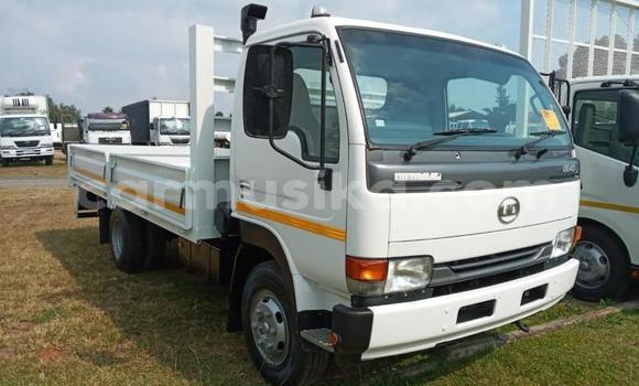 Buy Used Toyota Dyna Other Truck in Beitbridge in Matabeleland South