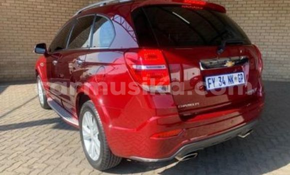 Buy Used Chevrolet Captiva Red Car in Beitbridge in Matabeleland South Buy Used Chevrolet Captiva Red Car in Beitbridge in Matabeleland South