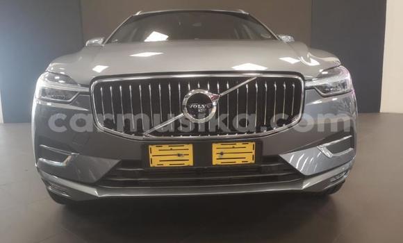 Buy Used Volvo XC60 Silver Car in Beitbridge in Matabeleland South