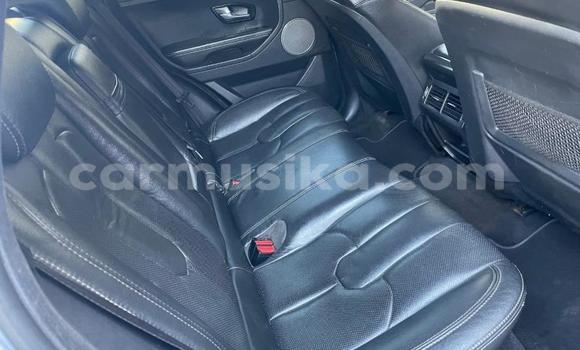 Acheter Occasion Voiture Range Rover Evoque Gris à Beitbridge, Matabeleland South