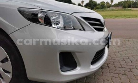 Acheter Occasion Voiture Toyota Corolla Gris à Beitbridge, Matabeleland South Acheter Occasion Voiture Toyota Corolla Gris à Beitbridge, Matabeleland South