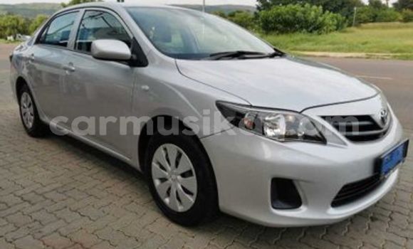 Acheter Occasion Voiture Toyota Corolla Gris à Beitbridge, Matabeleland South Acheter Occasion Voiture Toyota Corolla Gris à Beitbridge, Matabeleland South