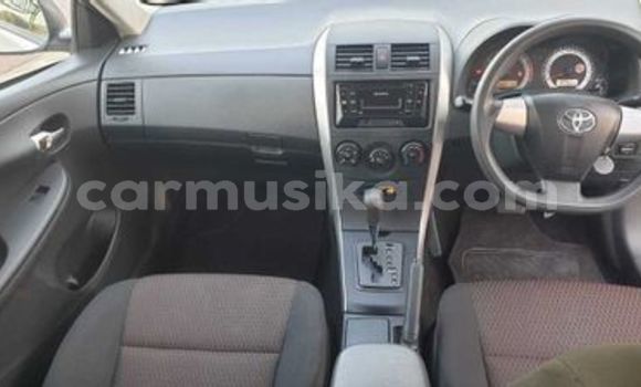 Acheter Occasion Voiture Toyota Corolla Gris à Beitbridge, Matabeleland South Acheter Occasion Voiture Toyota Corolla Gris à Beitbridge, Matabeleland South