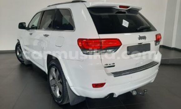 Acheter Occasion Voiture Jeep Grand Cherokee Blanc à Beitbridge, Matabeleland South Acheter Occasion Voiture Jeep Grand Cherokee Blanc à Beitbridge, Matabeleland South