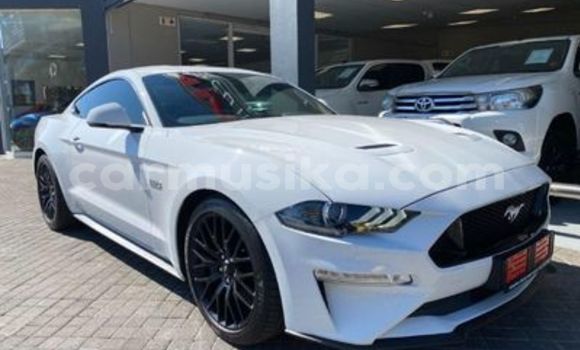 Buy Used FORD MUSTANG White Car in Beitbridge in Matabeleland South