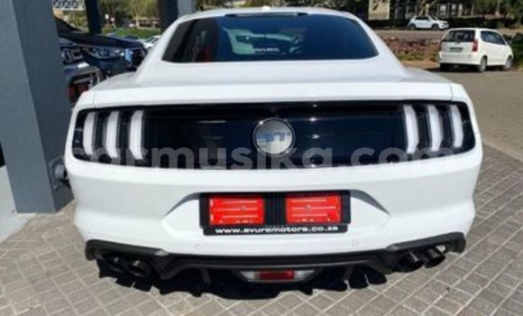 Acheter Occasion Voiture FORD MUSTANG Blanc à Beitbridge, Matabeleland South Acheter Occasion Voiture FORD MUSTANG Blanc à Beitbridge, Matabeleland South