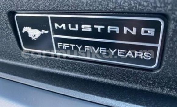 Acheter Occasion Voiture FORD MUSTANG Blanc à Beitbridge, Matabeleland South Acheter Occasion Voiture FORD MUSTANG Blanc à Beitbridge, Matabeleland South