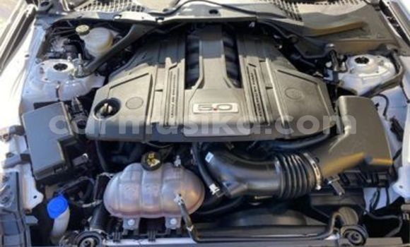 Acheter Occasion Voiture FORD MUSTANG Blanc à Beitbridge, Matabeleland South Acheter Occasion Voiture FORD MUSTANG Blanc à Beitbridge, Matabeleland South