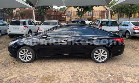 Tenga Tsaru Hyundai Sonata Nhema Mota in Beitbridge in Matabeleland South