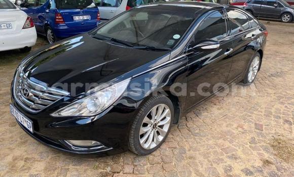 Acheter Occasion Voiture Hyundai Sonata Noir à Beitbridge, Matabeleland South Acheter Occasion Voiture Hyundai Sonata Noir à Beitbridge, Matabeleland South