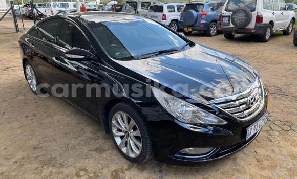 Acheter Occasion Voiture Hyundai Sonata Noir à Beitbridge, Matabeleland South Acheter Occasion Voiture Hyundai Sonata Noir à Beitbridge, Matabeleland South