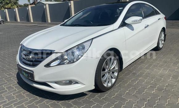 Tenga Tsaru Hyundai Sonata Chena Mota in Beitbridge in Matabeleland South Tenga Tsaru Hyundai Sonata Chena Mota in Beitbridge in Matabeleland South