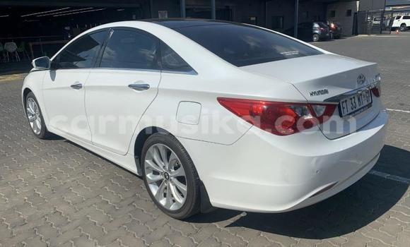 Acheter Occasion Voiture Hyundai Sonata Blanc à Beitbridge, Matabeleland South Acheter Occasion Voiture Hyundai Sonata Blanc à Beitbridge, Matabeleland South