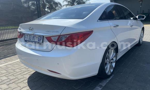 Acheter Occasion Voiture Hyundai Sonata Blanc à Beitbridge, Matabeleland South Acheter Occasion Voiture Hyundai Sonata Blanc à Beitbridge, Matabeleland South