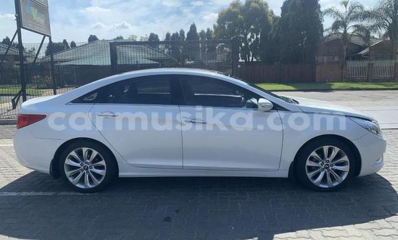 Acheter Occasion Voiture Hyundai Sonata Blanc à Beitbridge, Matabeleland South Acheter Occasion Voiture Hyundai Sonata Blanc à Beitbridge, Matabeleland South