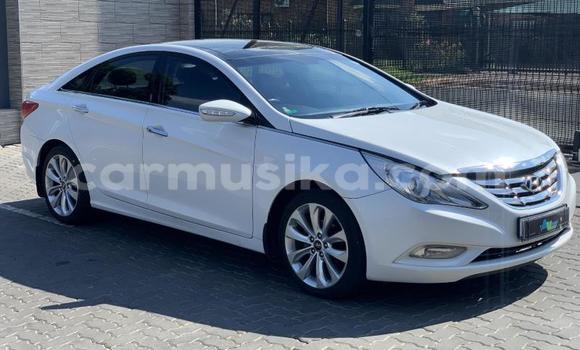 Acheter Occasion Voiture Hyundai Sonata Blanc à Beitbridge, Matabeleland South Acheter Occasion Voiture Hyundai Sonata Blanc à Beitbridge, Matabeleland South
