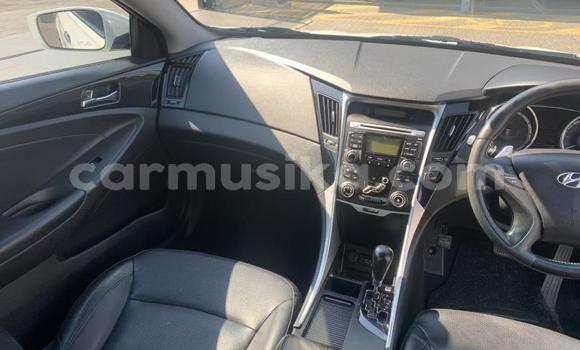 Acheter Occasion Voiture Hyundai Sonata Blanc à Beitbridge, Matabeleland South Acheter Occasion Voiture Hyundai Sonata Blanc à Beitbridge, Matabeleland South