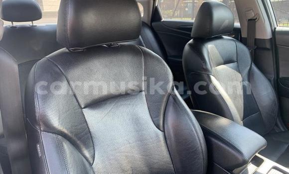 Acheter Occasion Voiture Hyundai Sonata Blanc à Beitbridge, Matabeleland South Acheter Occasion Voiture Hyundai Sonata Blanc à Beitbridge, Matabeleland South