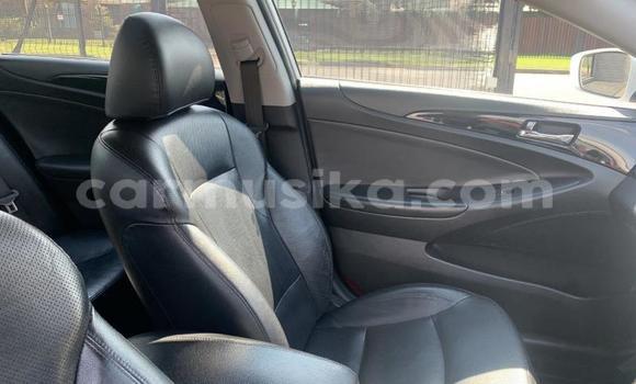 Acheter Occasion Voiture Hyundai Sonata Blanc à Beitbridge, Matabeleland South Acheter Occasion Voiture Hyundai Sonata Blanc à Beitbridge, Matabeleland South