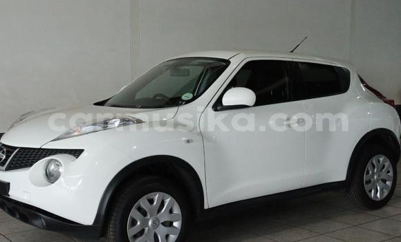 Tenga Tsaru Nissan Juke Chena Mota in Beitbridge in Matabeleland South