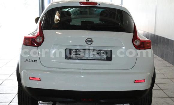 Tenga Tsaru Nissan Juke Chena Mota in Beitbridge in Matabeleland South Tenga Tsaru Nissan Juke Chena Mota in Beitbridge in Matabeleland South