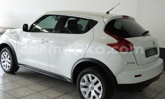 Tenga Tsaru Nissan Juke Chena Mota in Beitbridge in Matabeleland South Tenga Tsaru Nissan Juke Chena Mota in Beitbridge in Matabeleland South