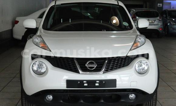 Tenga Tsaru Nissan Juke Chena Mota in Beitbridge in Matabeleland South Tenga Tsaru Nissan Juke Chena Mota in Beitbridge in Matabeleland South