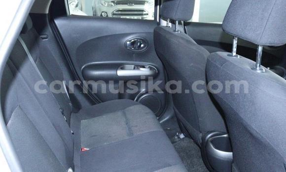 Tenga Tsaru Nissan Juke Chena Mota in Beitbridge in Matabeleland South Tenga Tsaru Nissan Juke Chena Mota in Beitbridge in Matabeleland South