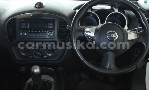 Tenga Tsaru Nissan Juke Chena Mota in Beitbridge in Matabeleland South Tenga Tsaru Nissan Juke Chena Mota in Beitbridge in Matabeleland South