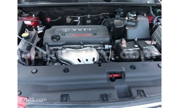 Tenga Imported Toyota HiAce Tsvuku Rori in Import - Dubai in Harare Tenga Imported Toyota HiAce Tsvuku Rori in Import - Dubai in Harare