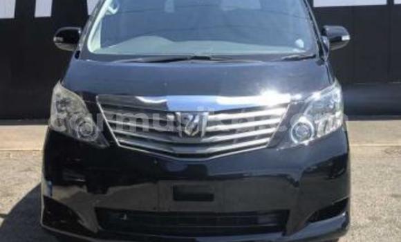 Acheter Occasion Voiture Toyota Alphard Noir à Beitbridge, Matabeleland South Acheter Occasion Voiture Toyota Alphard Noir à Beitbridge, Matabeleland South