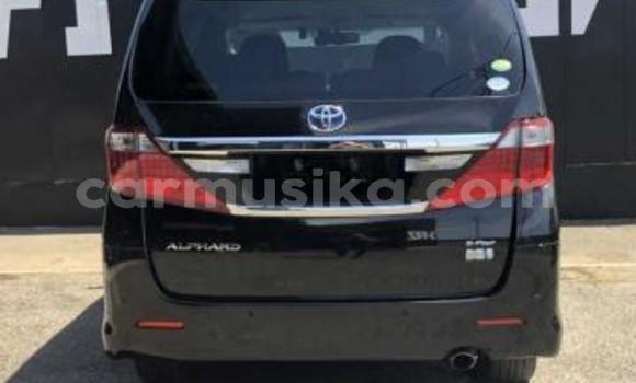 Buy Used Toyota Alphard Black Car in Beitbridge in Matabeleland South Buy Used Toyota Alphard Black Car in Beitbridge in Matabeleland South