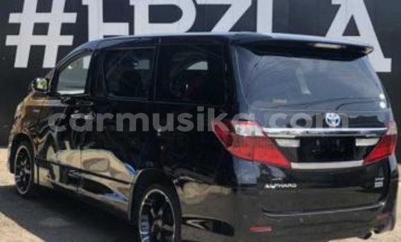 Buy Used Toyota Alphard Black Car in Beitbridge in Matabeleland South Buy Used Toyota Alphard Black Car in Beitbridge in Matabeleland South