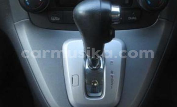 Acheter Occasion Voiture Honda CR–V Noir à Beitbridge, Matabeleland South Acheter Occasion Voiture Honda CR–V Noir à Beitbridge, Matabeleland South