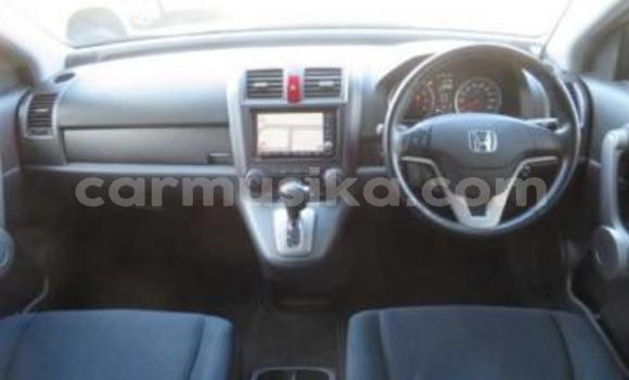 Acheter Occasion Voiture Honda CR–V Noir à Beitbridge, Matabeleland South Acheter Occasion Voiture Honda CR–V Noir à Beitbridge, Matabeleland South