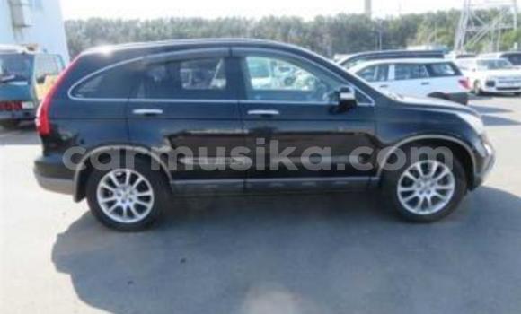 Acheter Occasion Voiture Honda CR–V Noir à Beitbridge, Matabeleland South Acheter Occasion Voiture Honda CR–V Noir à Beitbridge, Matabeleland South