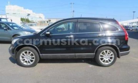 Acheter Occasion Voiture Honda CR–V Noir à Beitbridge, Matabeleland South Acheter Occasion Voiture Honda CR–V Noir à Beitbridge, Matabeleland South