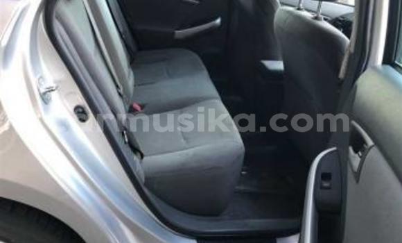 Acheter Occasion Voiture Toyota Prius Gris à Beitbridge, Matabeleland South Acheter Occasion Voiture Toyota Prius Gris à Beitbridge, Matabeleland South