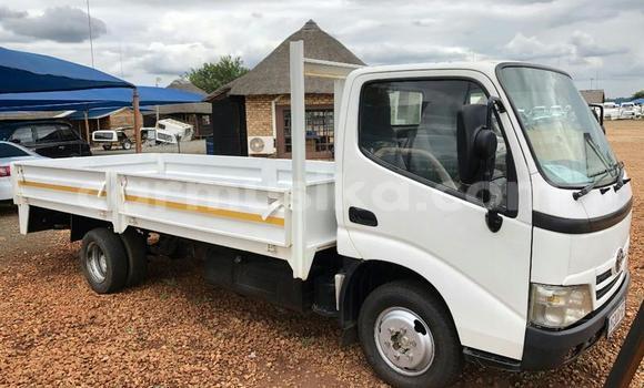 Buy Used Toyota Dyna White Truck in Harare in Harare